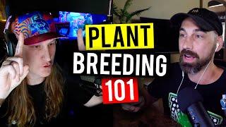 The Basics of Plant Breeding! How To Breed Plants! (Garden Talk #23)