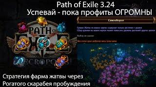 Path of Exile 3.24 | Гайд на Фарм Жатвы через скарабея или как я купил родителям дом у моря за ночь