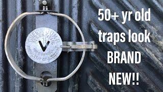 How to Clean Traps! 50+ Year Old Traps That Look BRAND NEW!