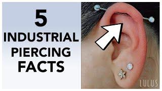 5 Important Industrial Piercing FACTS!!
