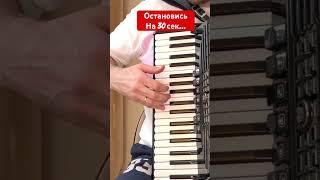 Всех с 14 февраля - лучшая песня о любви на Аккордеоне и баяне #accordion #любовь #music #14февраля