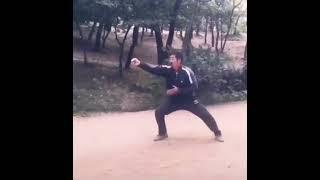 Fanziquan - five ways for hands.