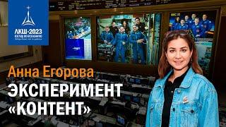 Анна Егорова — Эксперимент "Контент"