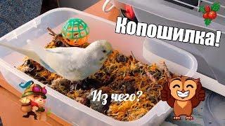 КОПОШИЛКА | ИЗ ЧЕГО СОСТОИТ НАША КОПОШИЛКА?