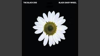 Black Daisy Wheel