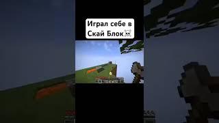 Скай Блок️ #майнкрафт #minecraft #майнкрафтприколы #minecraftmemes #угар #ржака #рек #shorts