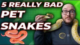 5 Really Bad Pet Snakes | Get These Snakes Instead!