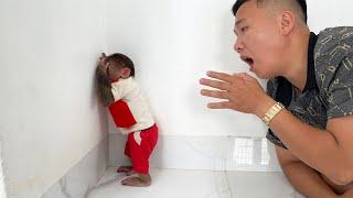 Dad abandoned Cubis monkey! Cubis is angry with dad and doesn't want to make up!