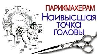 Артем Любимов - радиальный пробор и наивысшая точка головы.