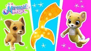 You won't believe this! A MERMAID DOG! | Mermaid Magic