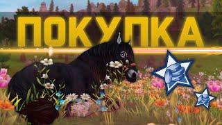 Star Stable - Покупка Дикой лошади Юрвика!