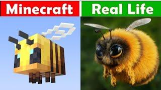 Minecraft vs real life