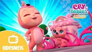 NIESPODZIANKA NA KÓŁKACH  CRY BABIES  MAGIC TEARS  Bajki dla Dzieci po POLSKU 
