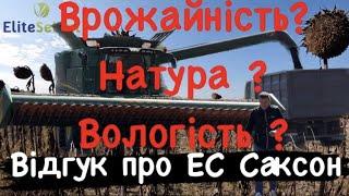 Відгук про Соняшник ЕС Саксон. Врожайність? Натура? Вологість?