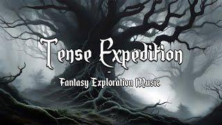 Tense Expedition | D&D/TTRPG Adventure Music | 1 Hour