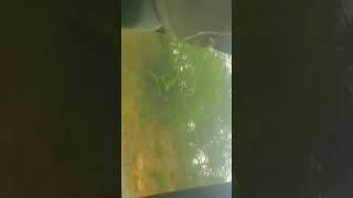 NAOMBA MNISAMEHE SANA NDUGU ZANGU NILIPATA DHARURA YA GHAFLA ILIYONIFANYA NISAFIRI ILA SOON Itatoka