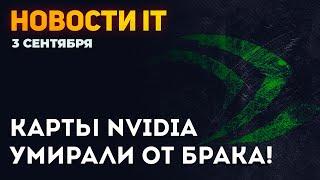 Карты Nvidia умирали от брака! RTX 3090 поменяют, майнинг карта на 164 MH, GTX 750 Ti осталась