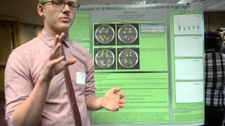 QE Response in the IRE1 Mutant of Arabidopsis Thaliana - UURAF 2013