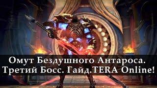 Омут Бездушного Антароса. Третий Босс Гайд. TERA Online