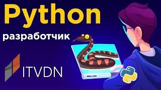 Что нужно знать Python разработчику?  Как выучить Python? Как стать Junior Python Developer?