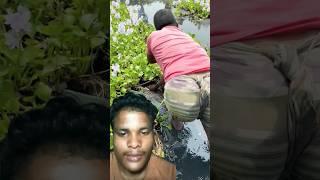 [Fishing boy hand]smart boy catch fish  by hand in bill#shorts #fishingmethods #tik tok video