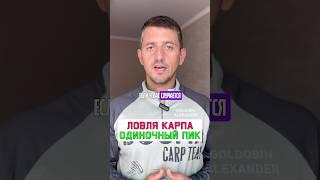 ЧТО ДЕЛАТЬ, когда случился одиночный пик на сигнализаторе? #карпфишинг