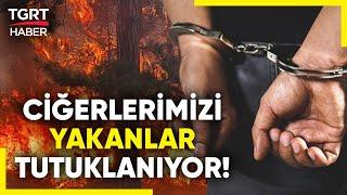 İçişleri Bakanı Açıkladı! Ormanlarımızı Ateşe Verenler Tek Tek Tespit Ediliyor! - TGRT Haber