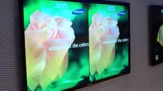 Samsung Wide Color Gamut LCD Demo @ CES 2010