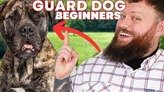 The Best GUARD DOG BREEDS FOR FIRST TIME OWNERS!