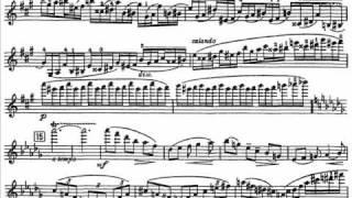 Glazunov, Alexander violin concerto mvt1(begin) Moderato