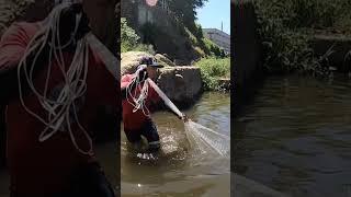 Jala rombongan ikan besar disungai #shorts #jalaikan #ikan