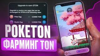 100 TON за ПРОСТЫЕ ДЕЙСТВИЯ! НОВАЯ ТАПАЛКА PokeTON, которая ПЛАТИТ!