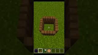 Minecraft Tiktok Hack #viral #minecraft