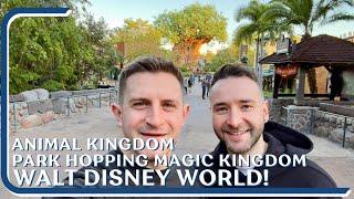 Walt Disney World Vlog | Animal Kingdom | Magic Kingdom | Happily Ever After | Max & Alex January 24