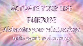 Activate Your Life Purpose Guided Meditation  Alchemize Your Perception for Abundance