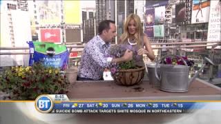 How to get better flower baskets with more blooms with Frankie Flowers