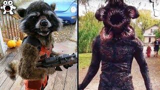 Creative Halloween Costumes People Took To The Next Level