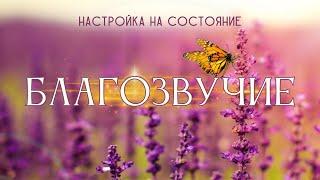 Благозвучие. Настройка на состояние #благозвучие #Весталия #СКД #школаcорадение