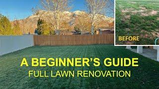 Full Lawn Renovation Start to Finish for Beginners (Like Me)