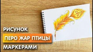 Как нарисовать перо жар птицы карандашом и скетч маркерами | Рисунок для детей, поэтапно и легко