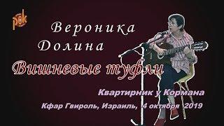 Вероника Долина - "Вишневые Туфли". Концерт в Израиле, 2019.