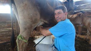 TIM WAKES UP AT DAWN TO HELP HIS NEIGHBORS