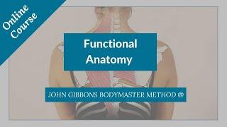 Want to Learn Functional Anatomy? Taught by John Gibbons - The Bodymaster