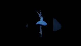Massive Attack Lopatkina