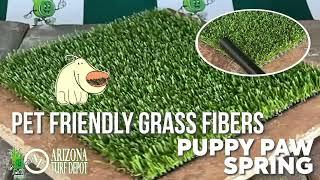 AZ Turf Depot PUPPY PAW SPRING - Pet Friendly Turf