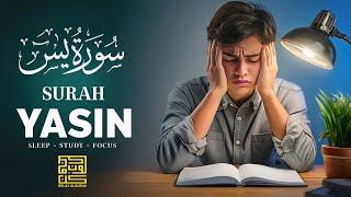 Cure Your Depression and Anxiety  Surah Yasin  Sleep Study Focus  Yaseen سورة يس  Relax Alquran