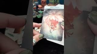 What is their karma for hurting you? Timeless Tarot Card Reading | Hope Tarot Daily