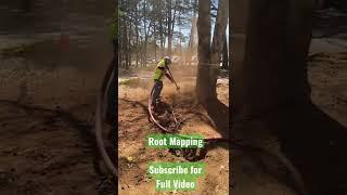 Root Mapping | Air Excavation(Subscribe for More!) #shorts