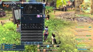 Blade & Soul Гайд по СКРИЖАЛЬ НА 20 LVL