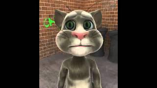 Russian talking tom cat (christian)